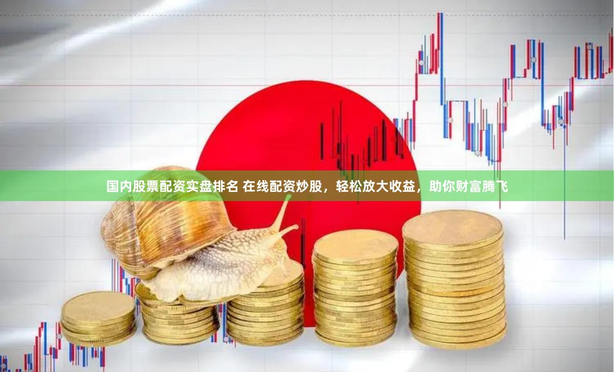 国内股票配资实盘排名 在线配资炒股，轻松放大收益，助你财富腾飞