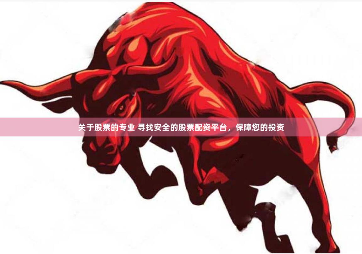 关于股票的专业 寻找安全的股票配资平台，保障您的投资